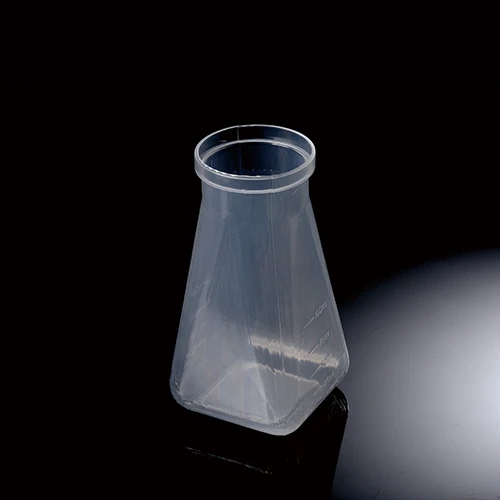Drosophila boutèy
